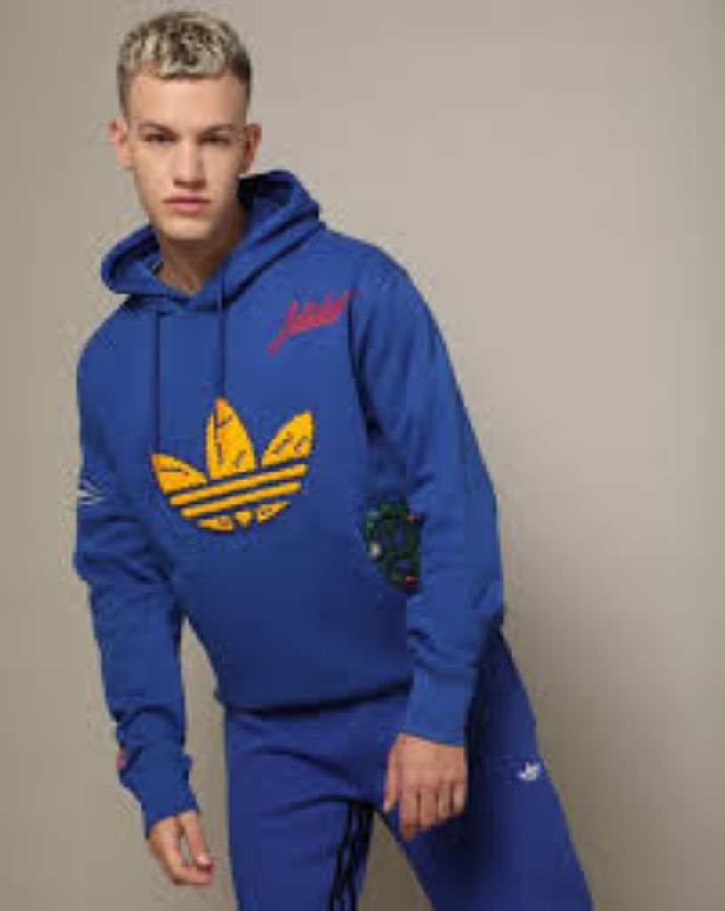 Picture of Adidas Originals Hoodie